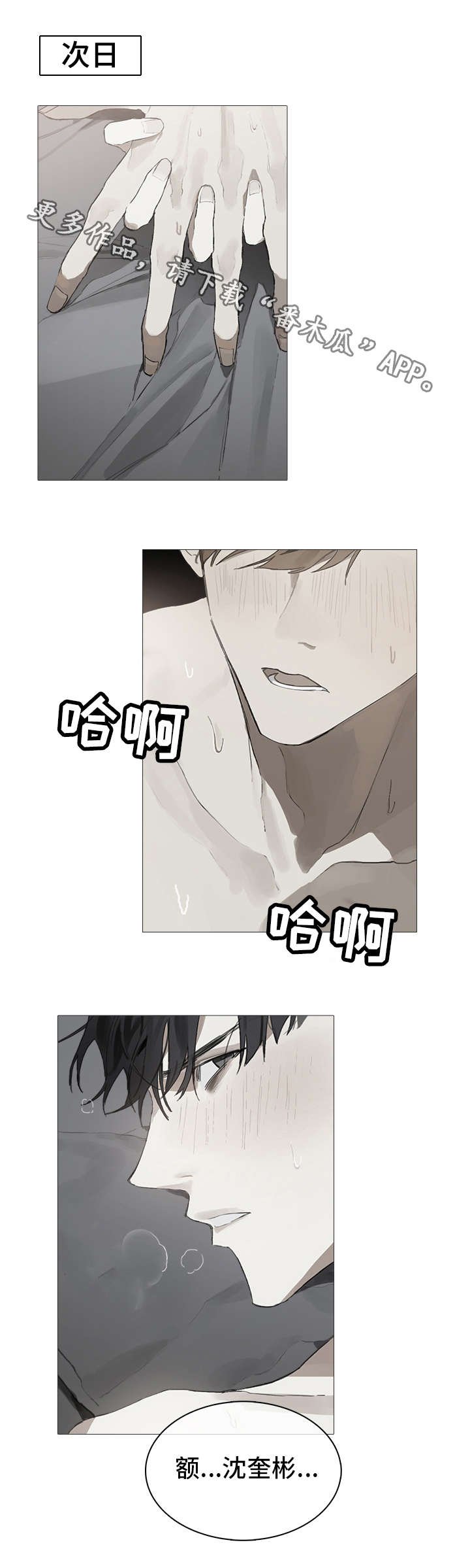第17章：单纯