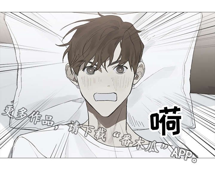 第17章：单纯