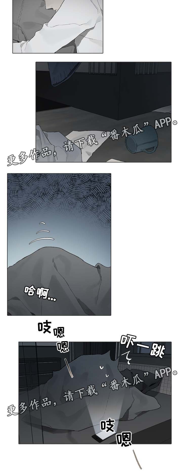 第47章：视频