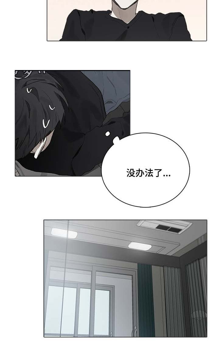 第48章：国外演奏会