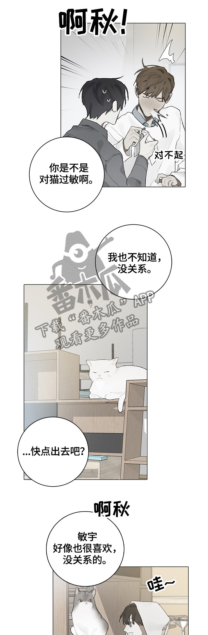 第62章：代替