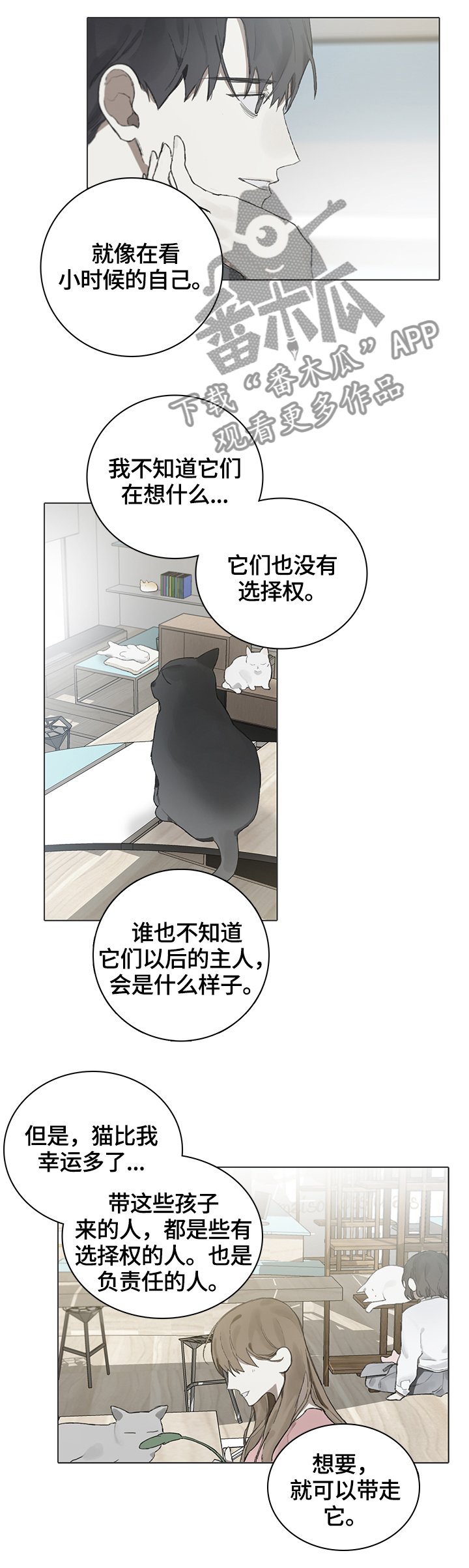 第62章：代替