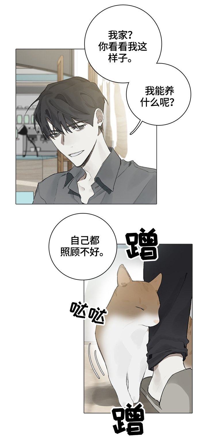 第62章：代替