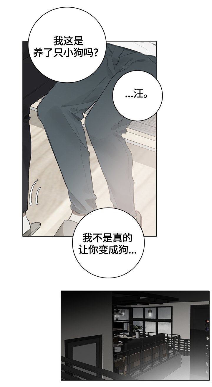 第62章：代替