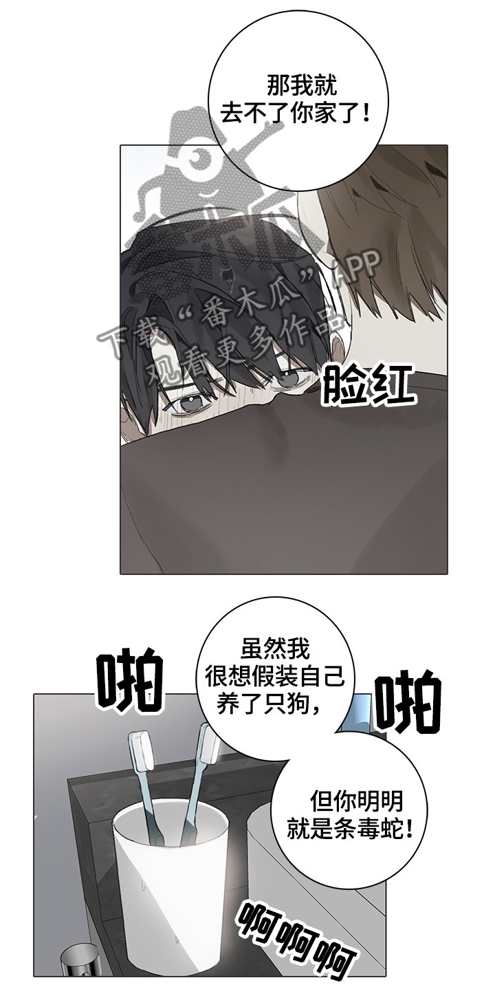 第63章：目击