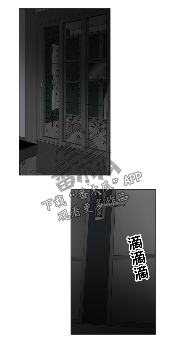 第63章：目击