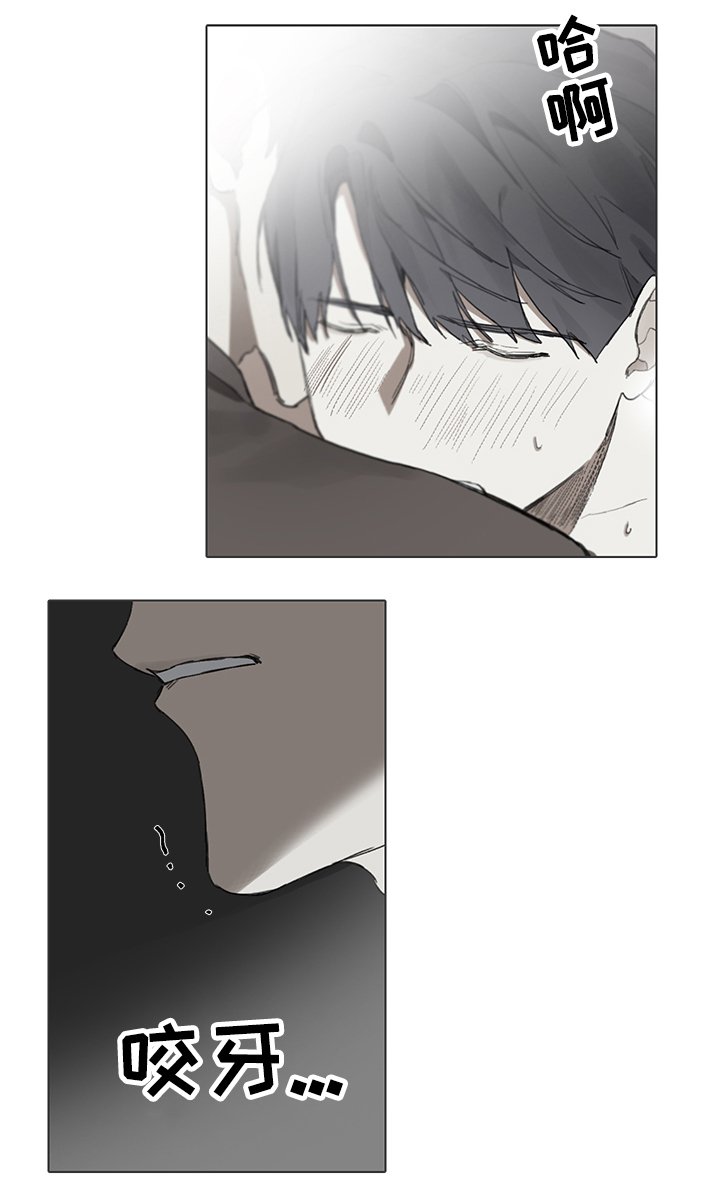 第63章：目击