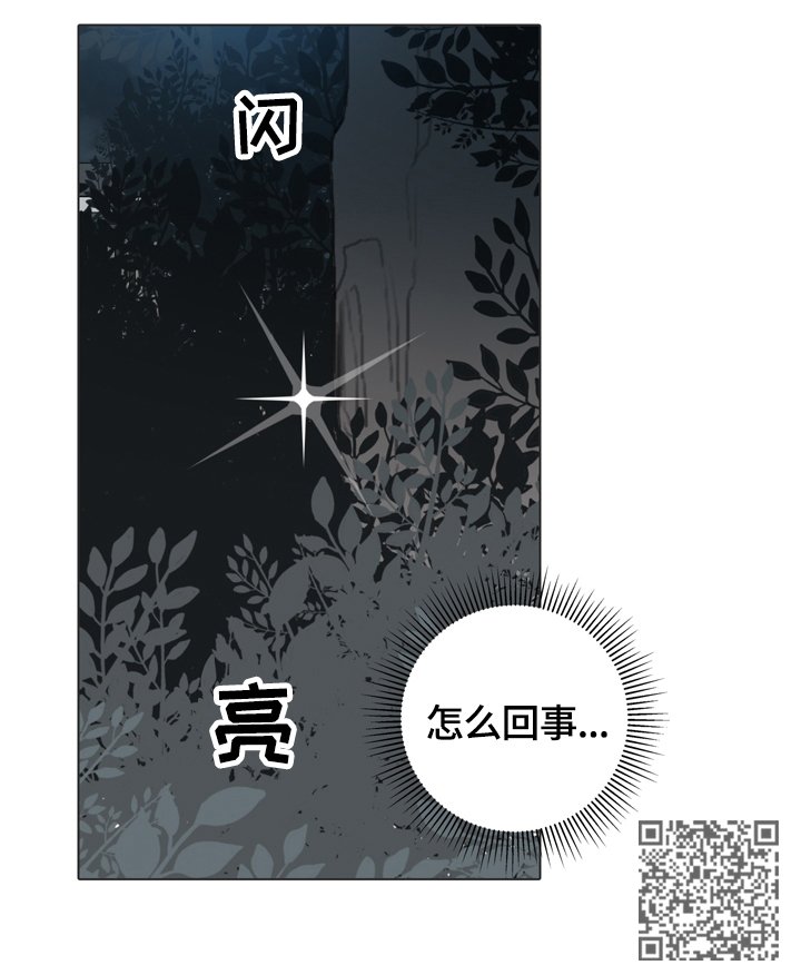 第65章：不解