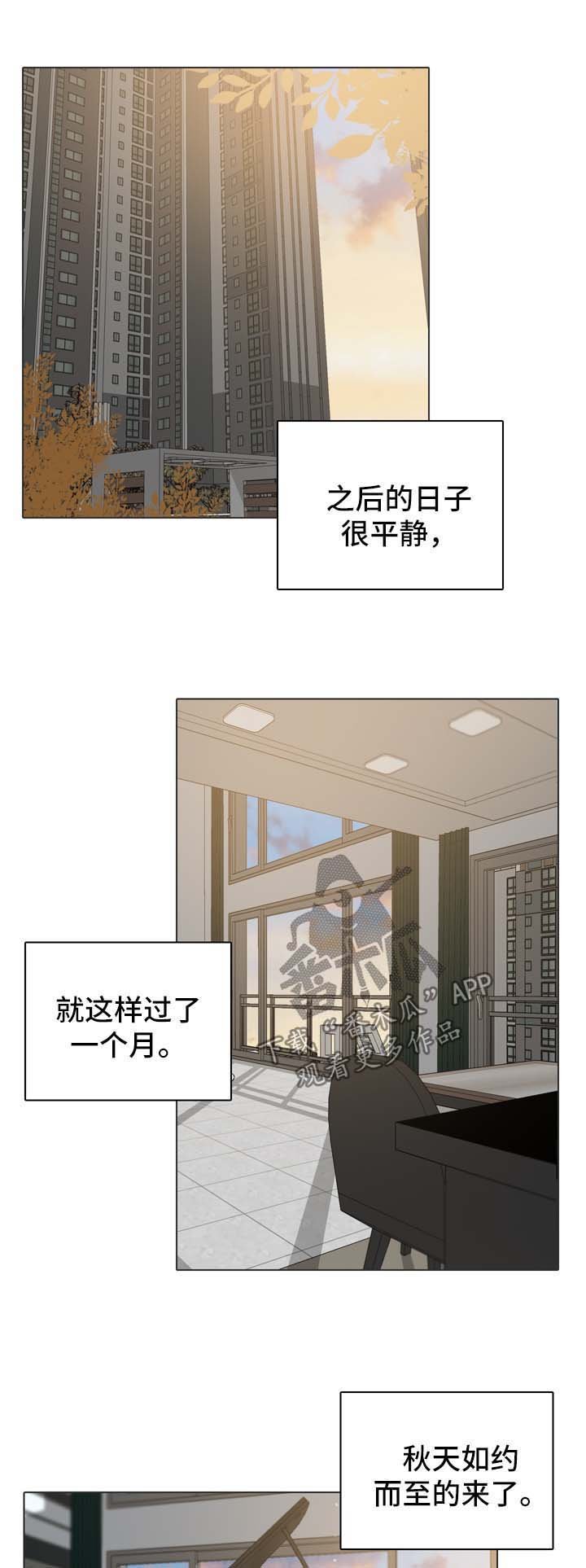 第84章：重归日常