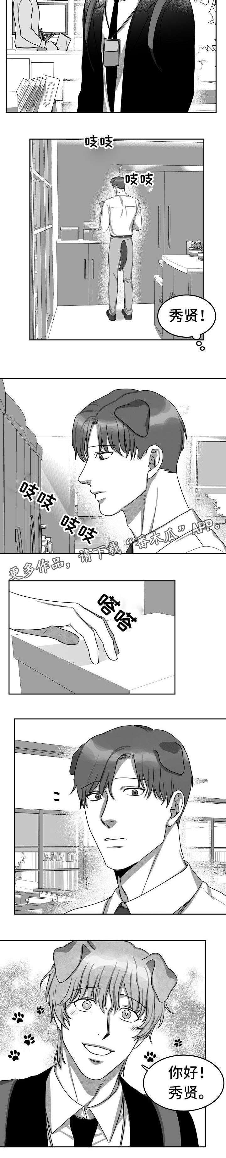 第13章：现在做吧