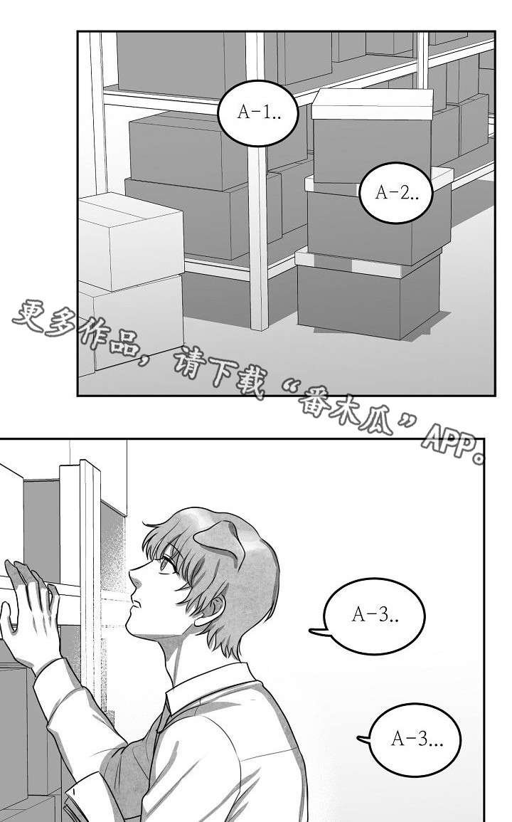 第13章：现在做吧