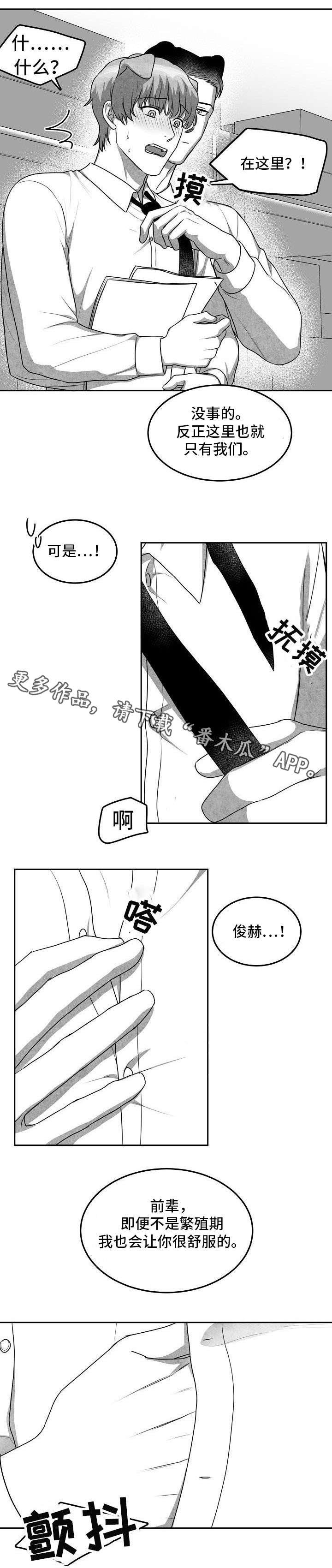 第14章：就这么办