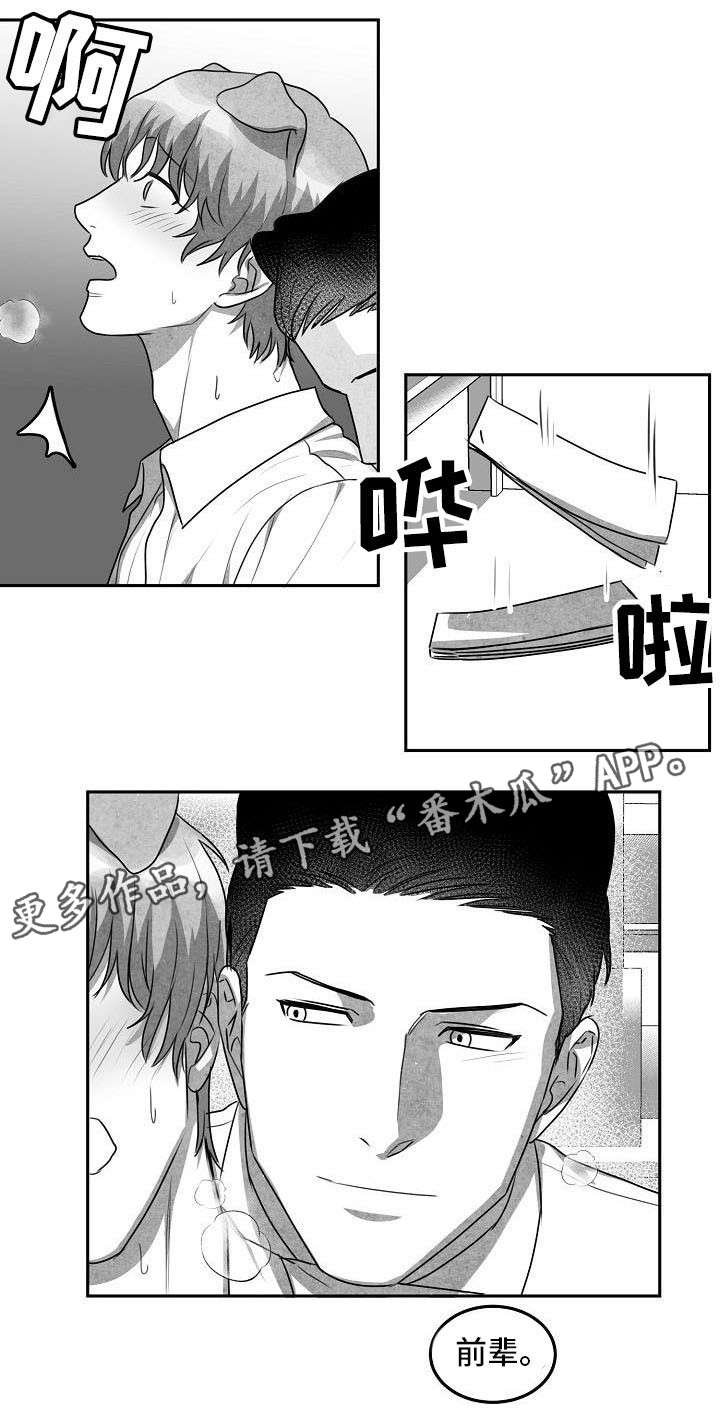 第14章：就这么办