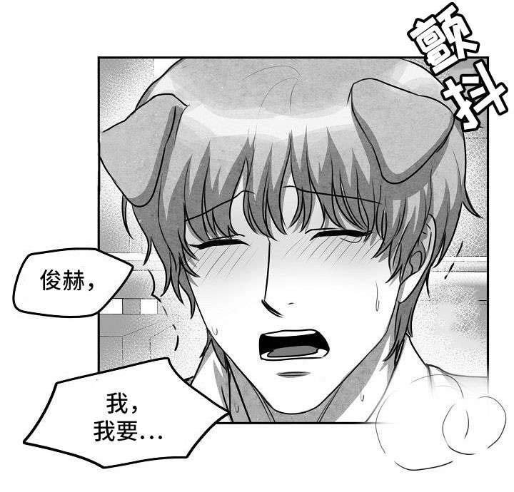 第14章：就这么办