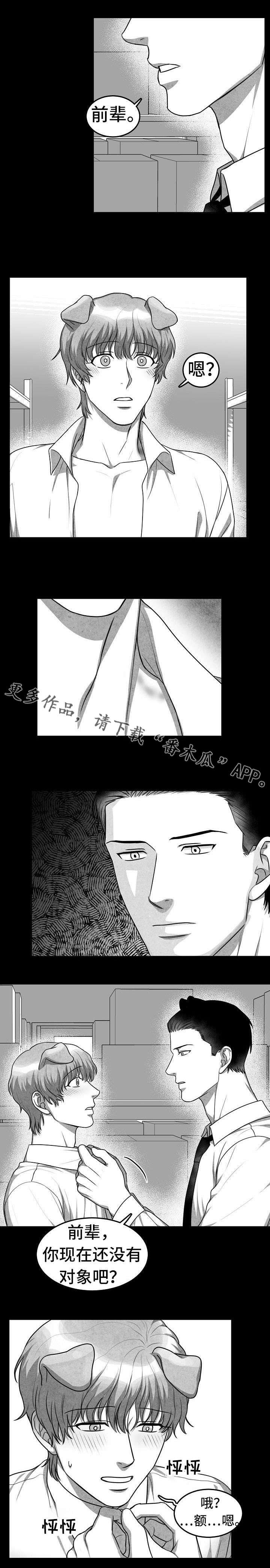 第14章：就这么办
