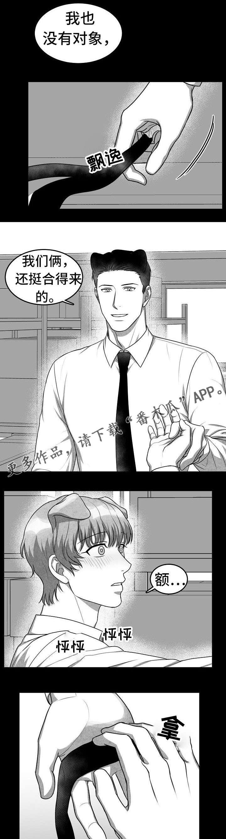 第14章：就这么办