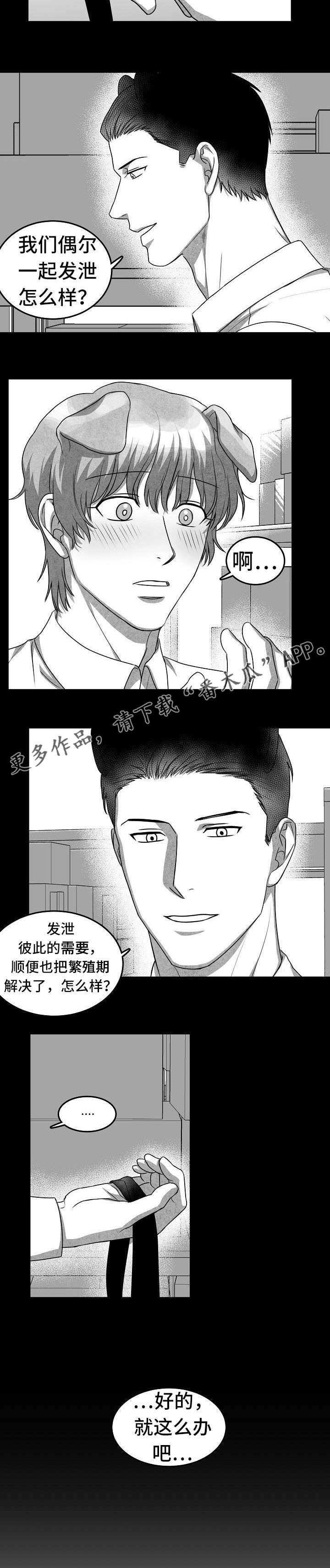 第14章：就这么办