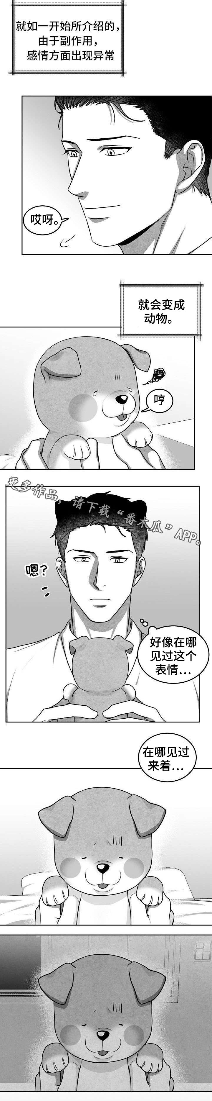 第17章：似曾相识