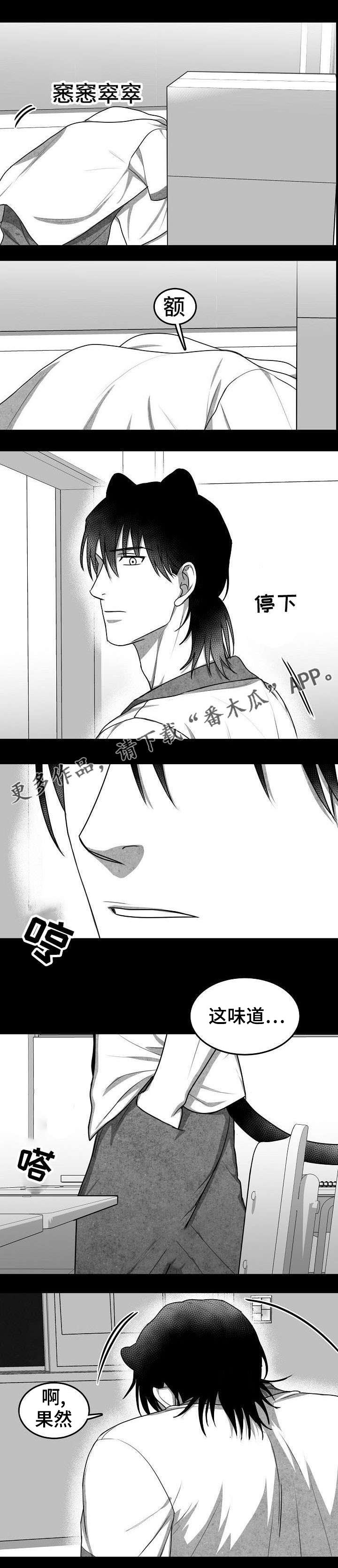 第17章：似曾相识