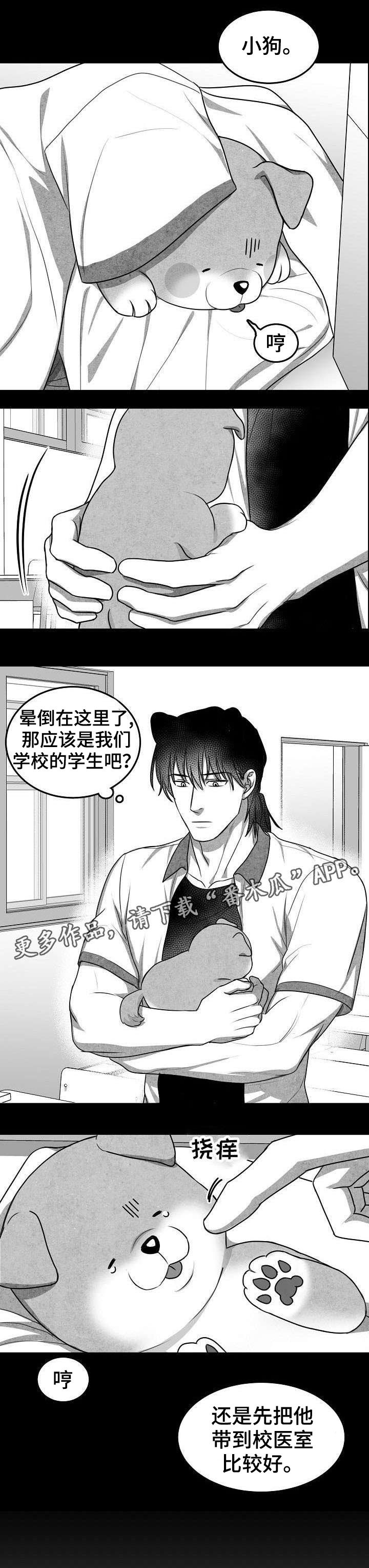 第17章：似曾相识