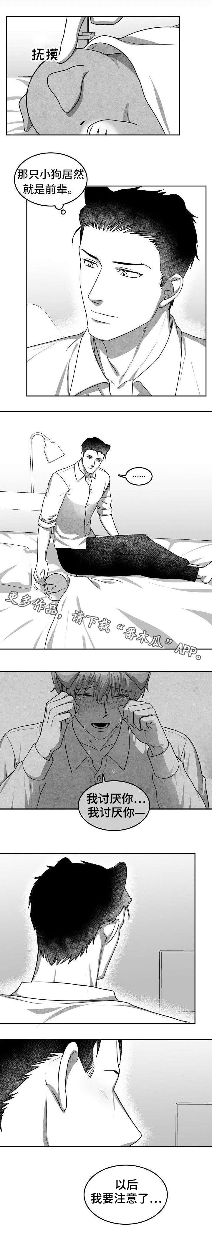 第17章：似曾相识