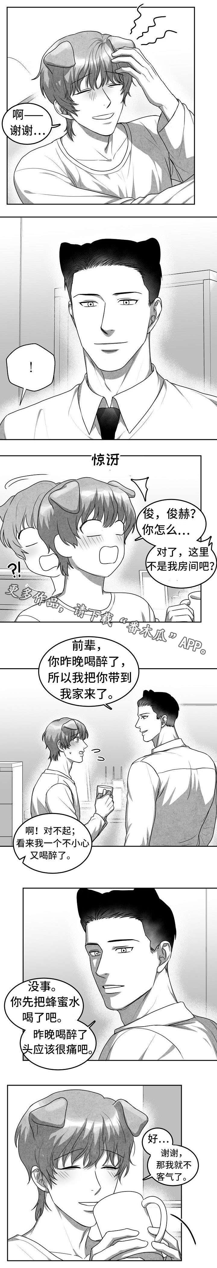 第18章：第二个新人