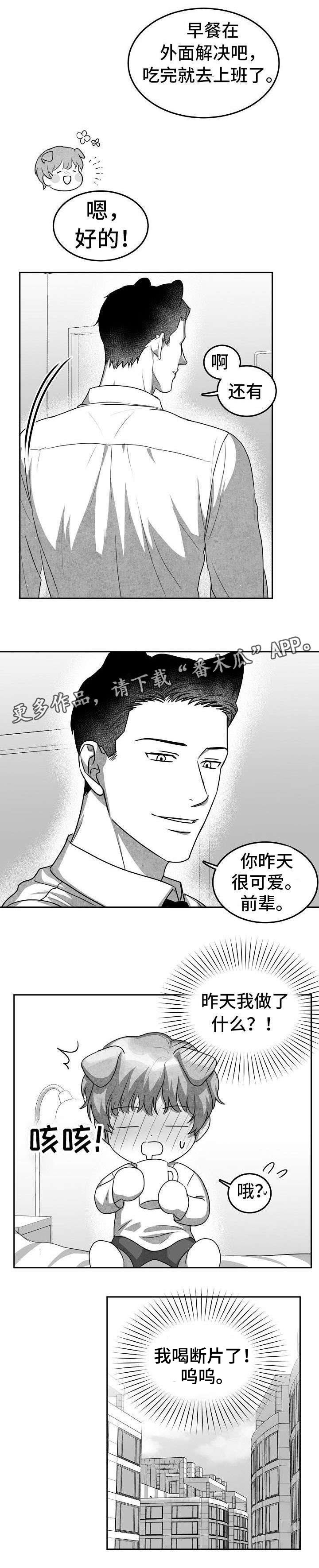第18章：第二个新人