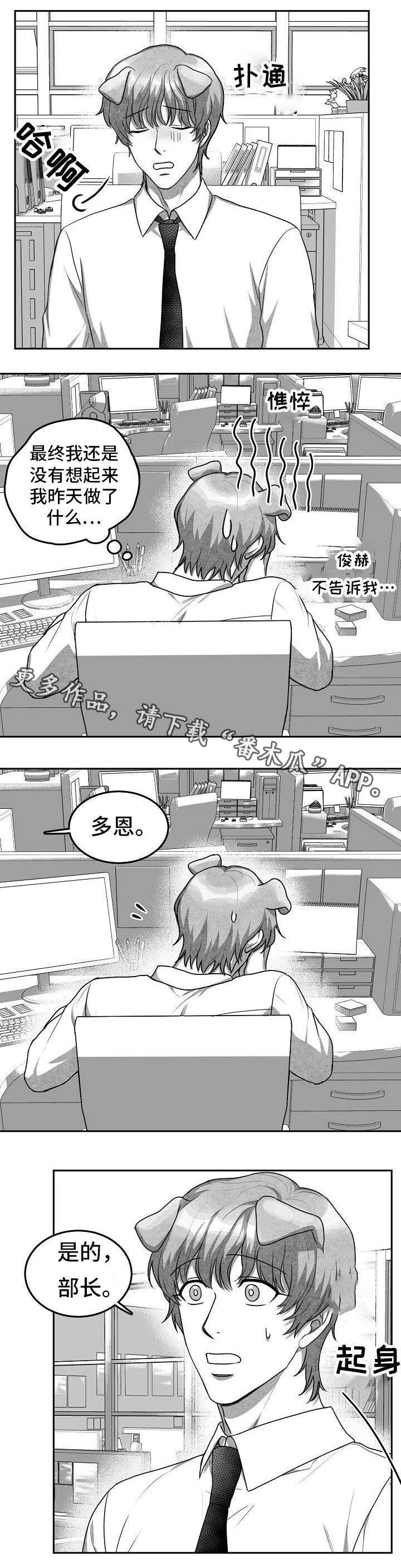 第18章：第二个新人