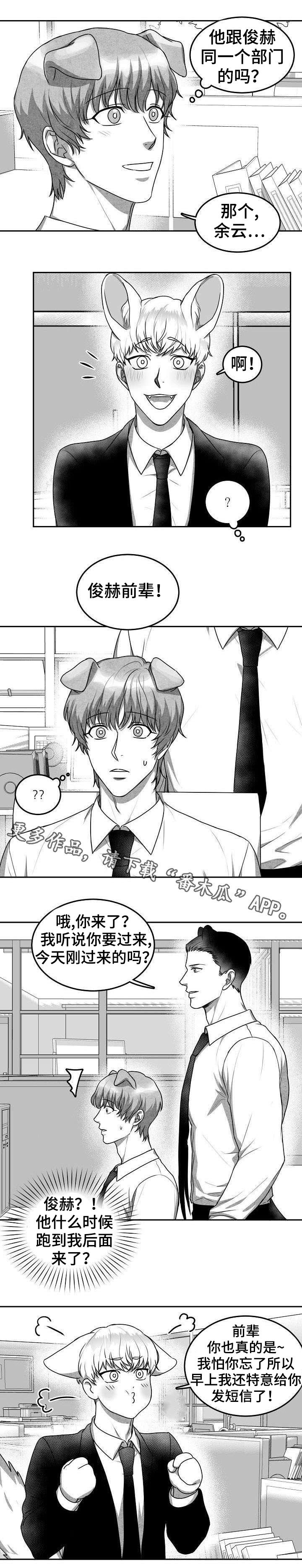 第18章：第二个新人