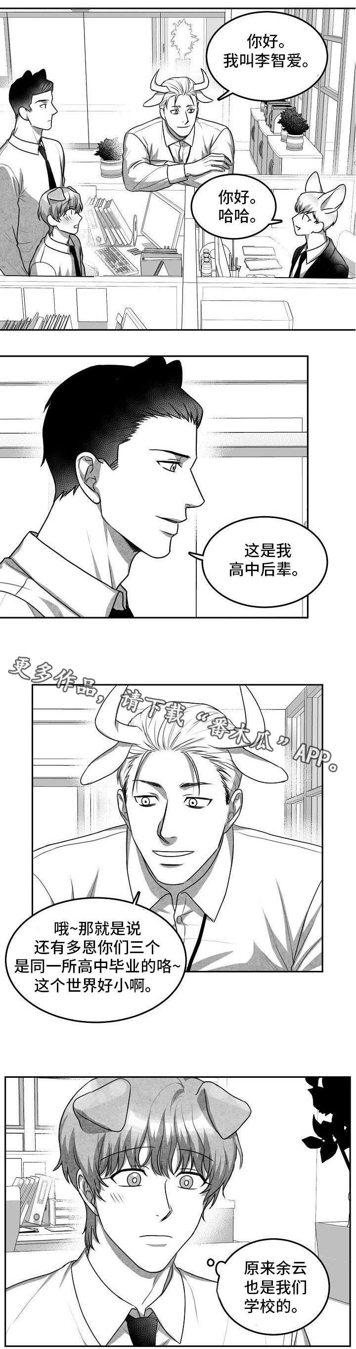 第19章：照片