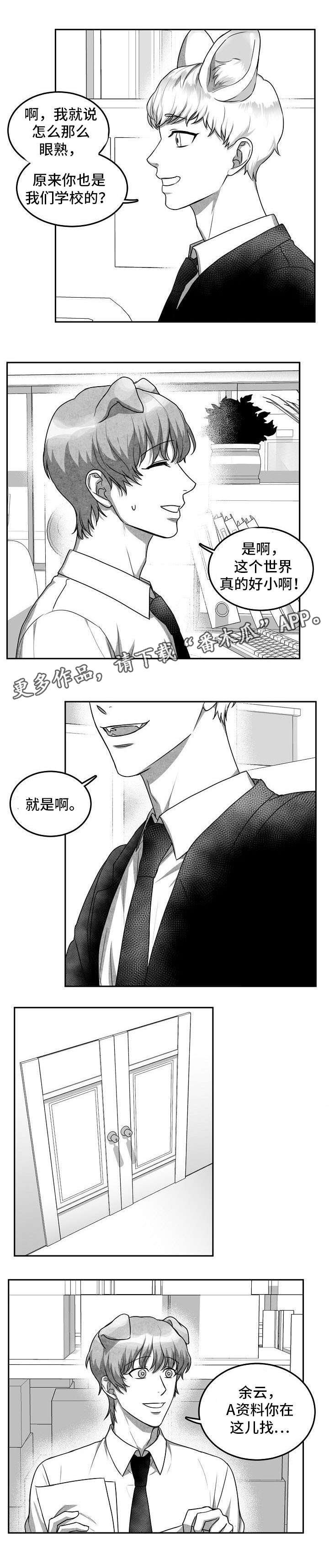 第19章：照片