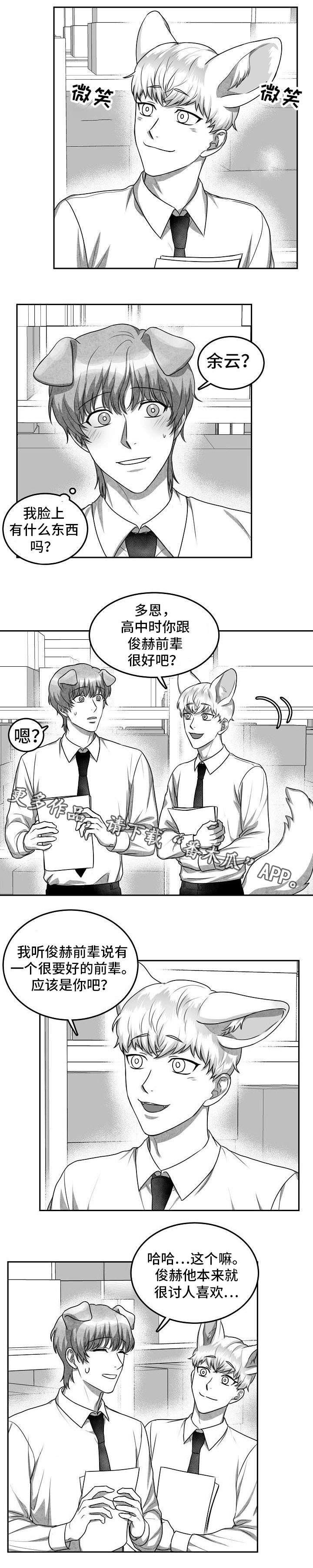 第19章：照片