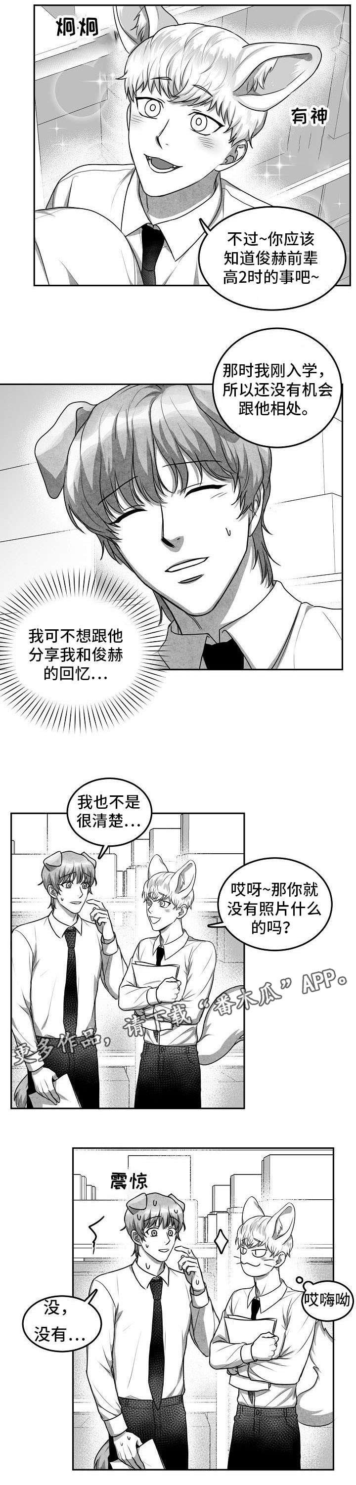 第19章：照片