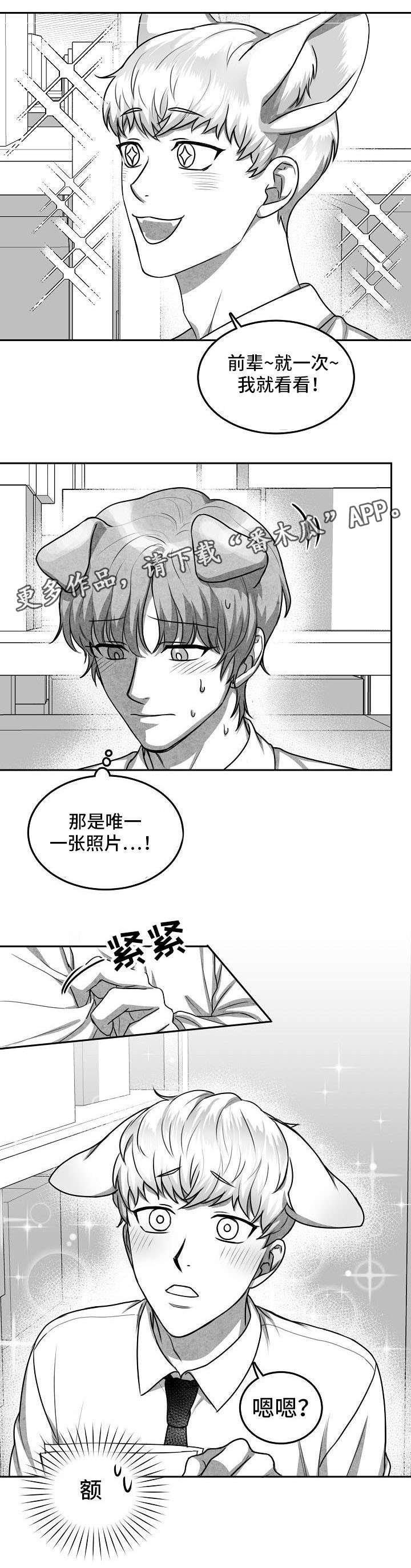第19章：照片