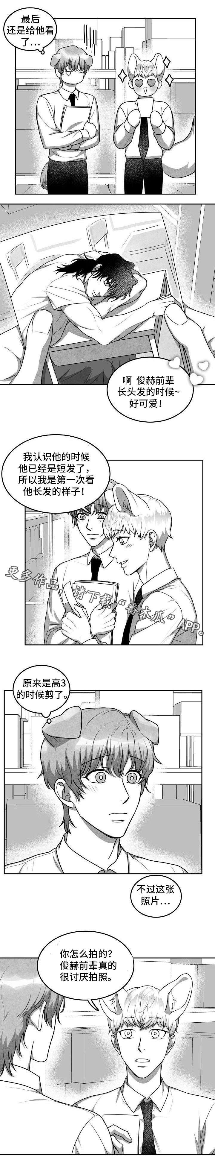 第19章：照片
