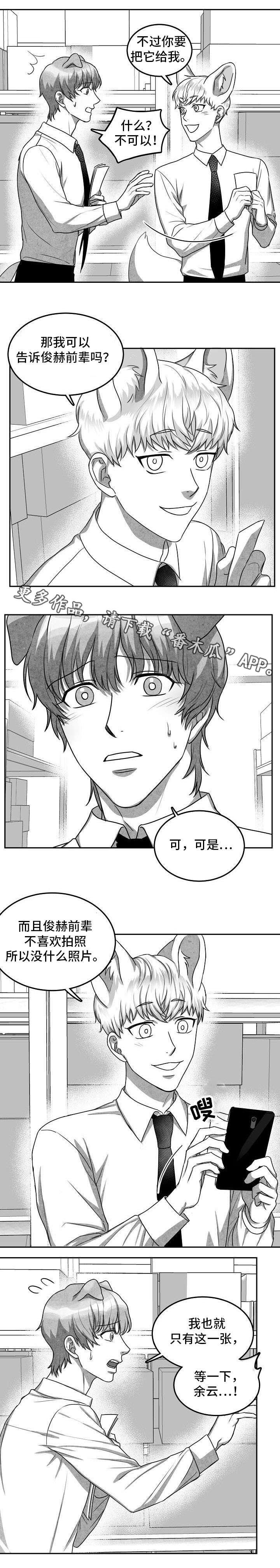 第19章：照片
