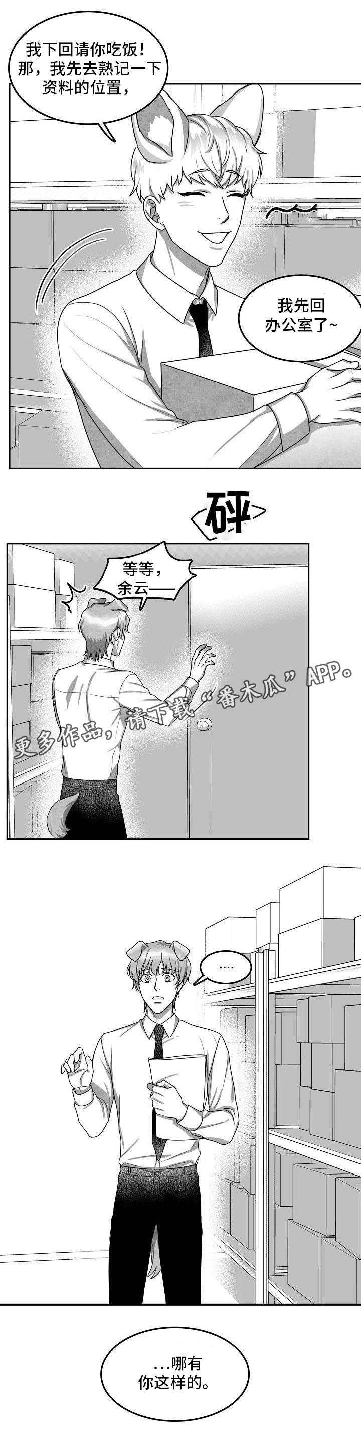 第19章：照片
