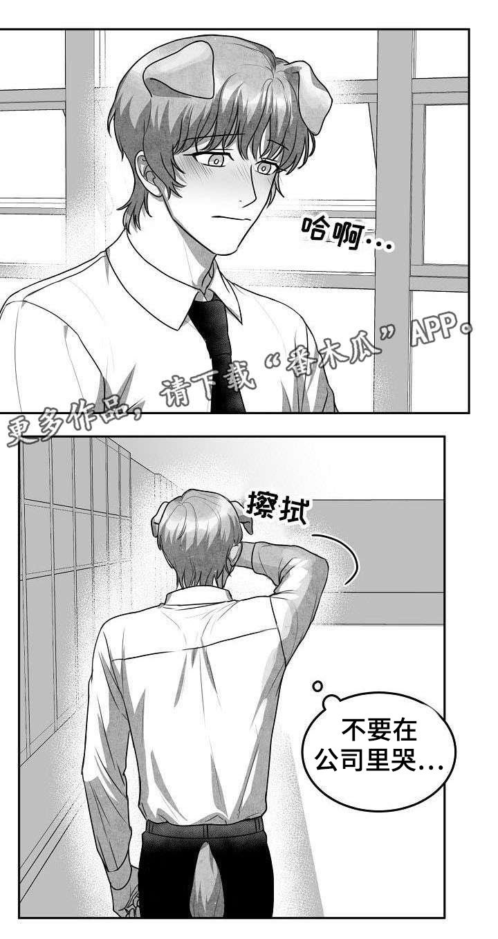 第20章：变回原形