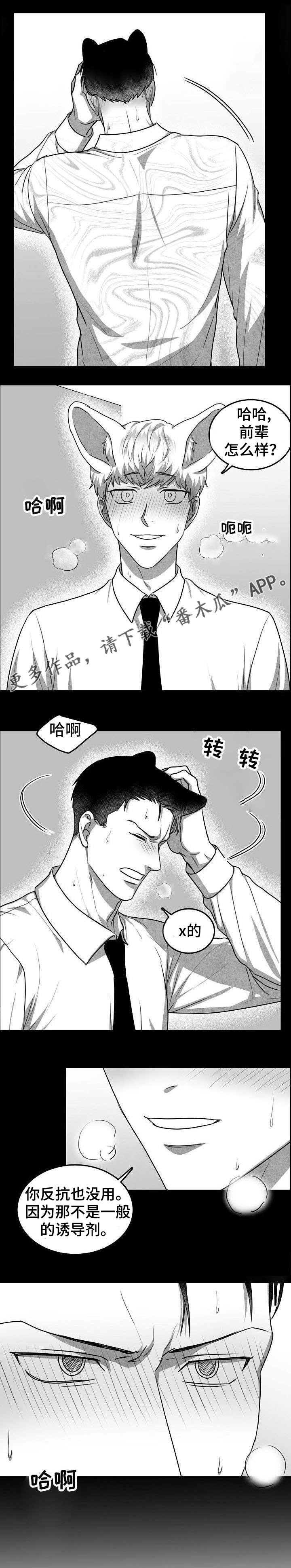 第24章：下药