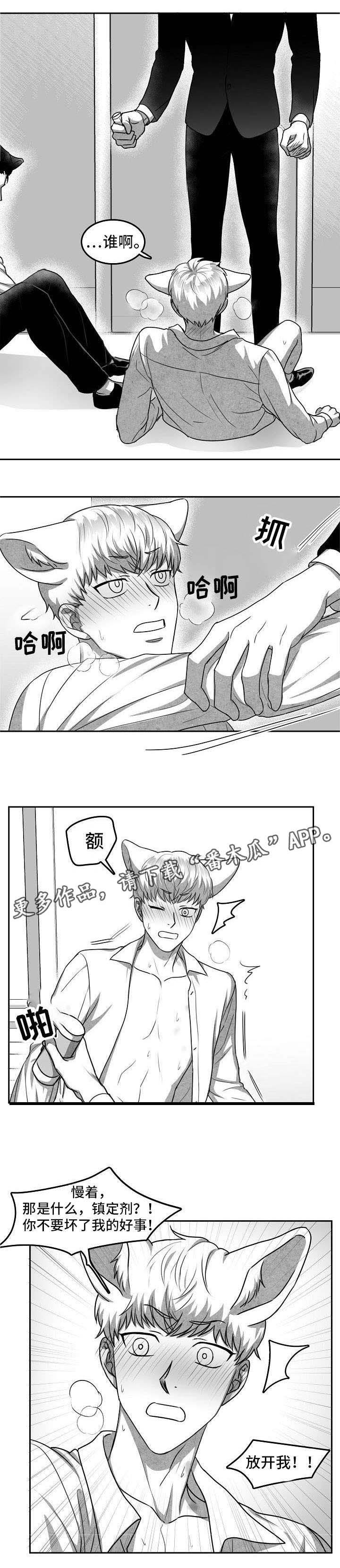 第25章：别再碰多恩