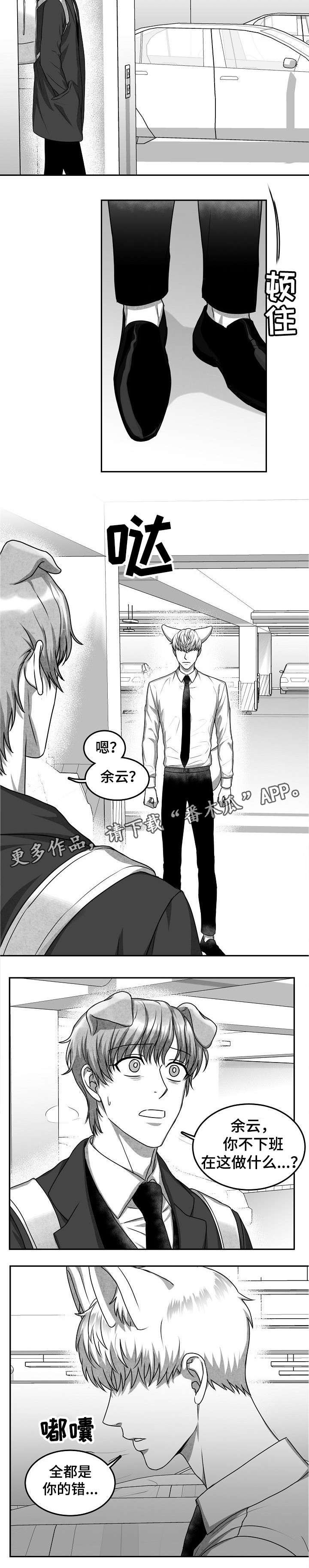 第29章：嫉妒