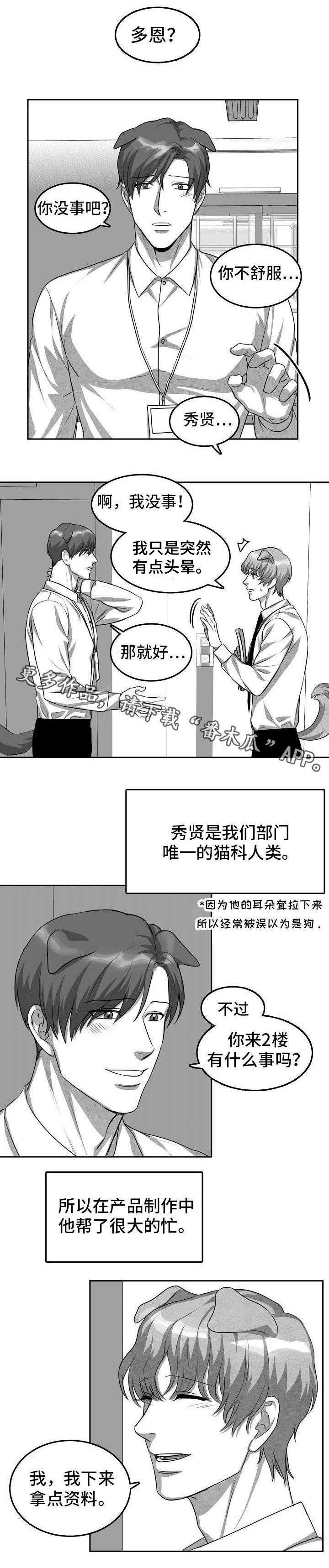 第3章：猫科同事