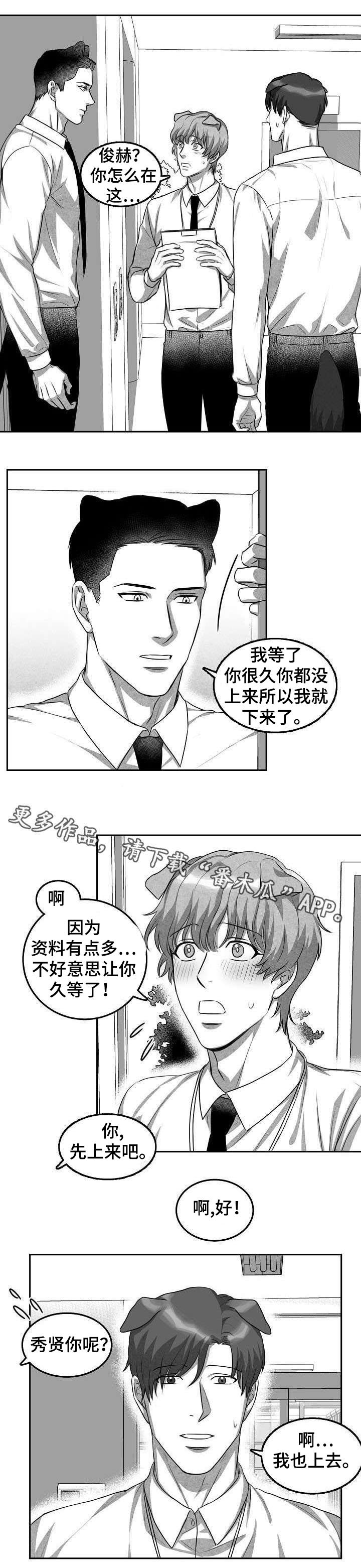 第3章：猫科同事