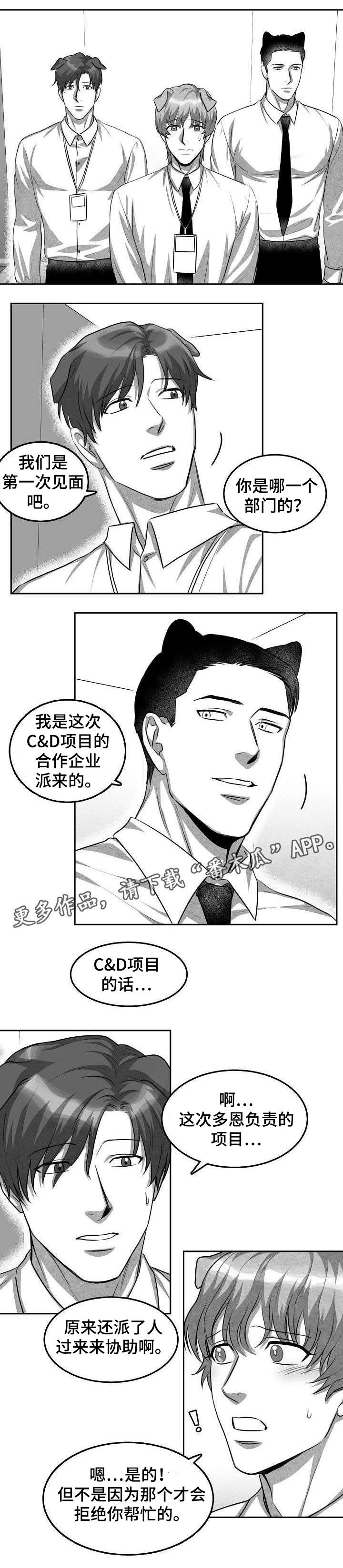 第3章：猫科同事