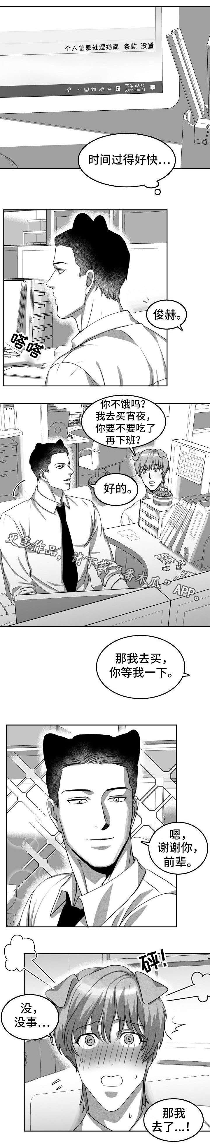 第3章：猫科同事