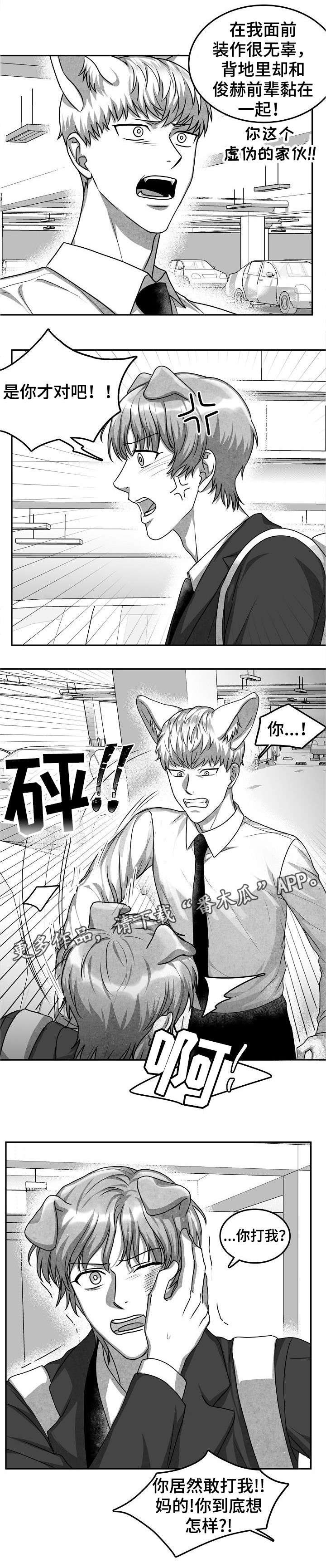第30章：打架