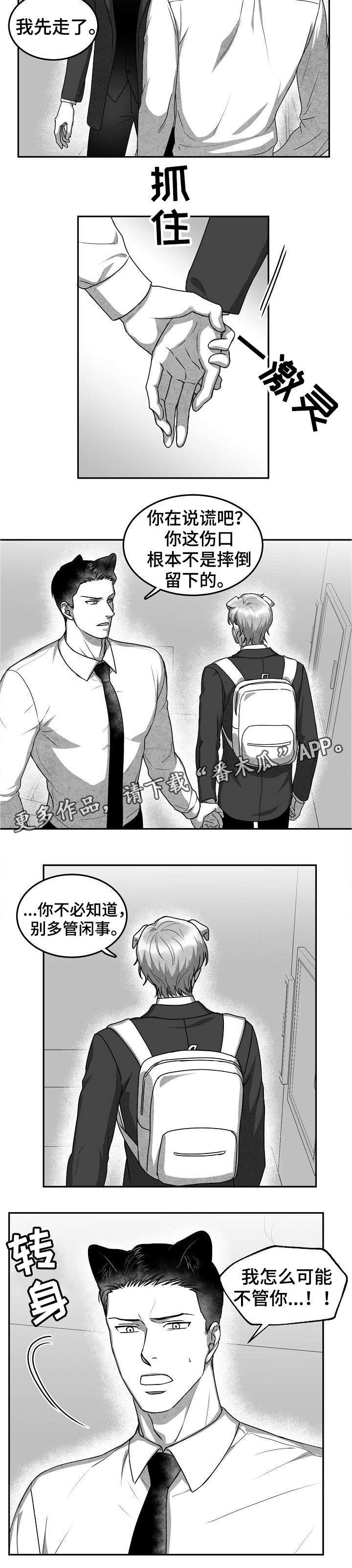 第31章：对不起