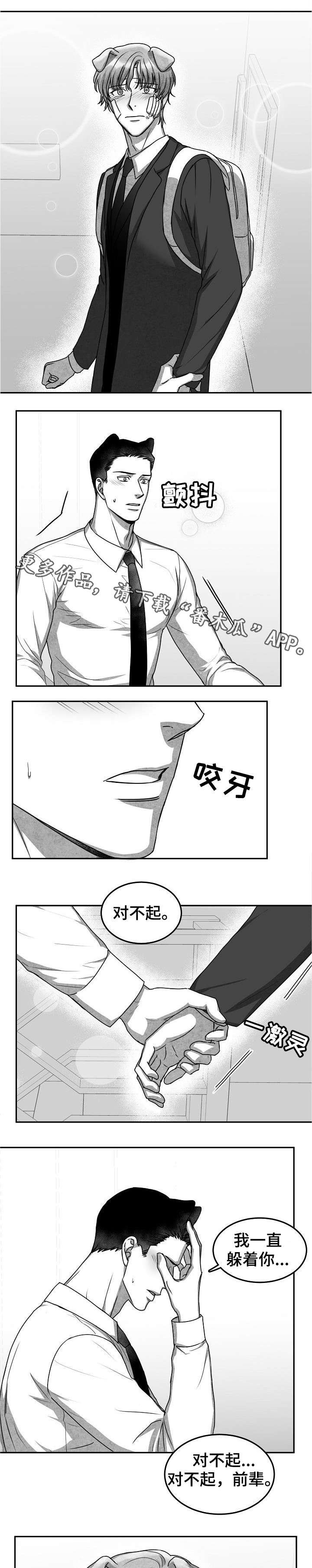 第31章：对不起