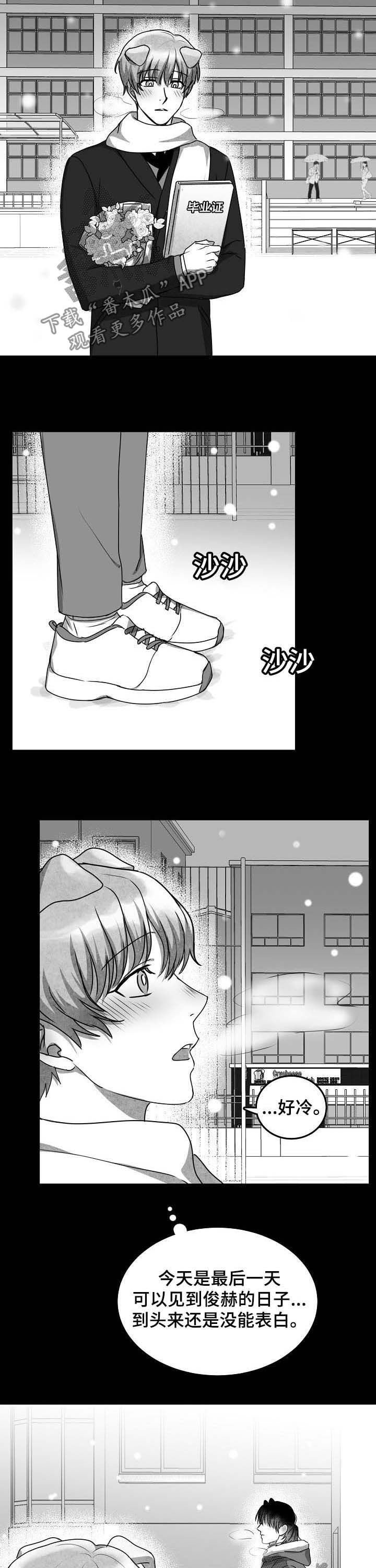 第37章：没有勇气