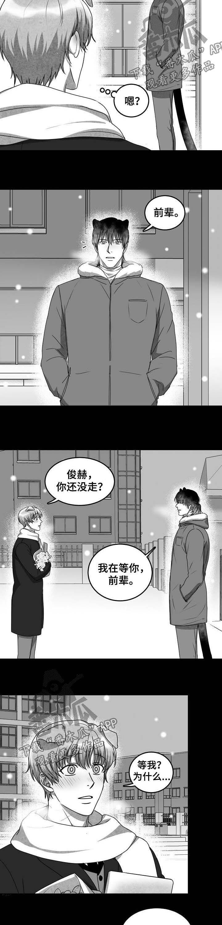 第37章：没有勇气